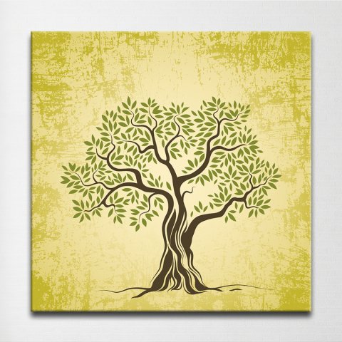 Zeytin Ağacı Kanvas Tablo 50x50 Cm.