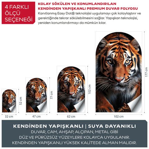 Kendinden Yapışkanlı Oval Kesim Avına Bakan Kaplan Duvar Kağıdı Stickeri 100x175cm