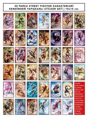 40 Parça Street Fighter Karakterleri Kendinden Yapışkanlı Sticker Seti | 10x15 cm.