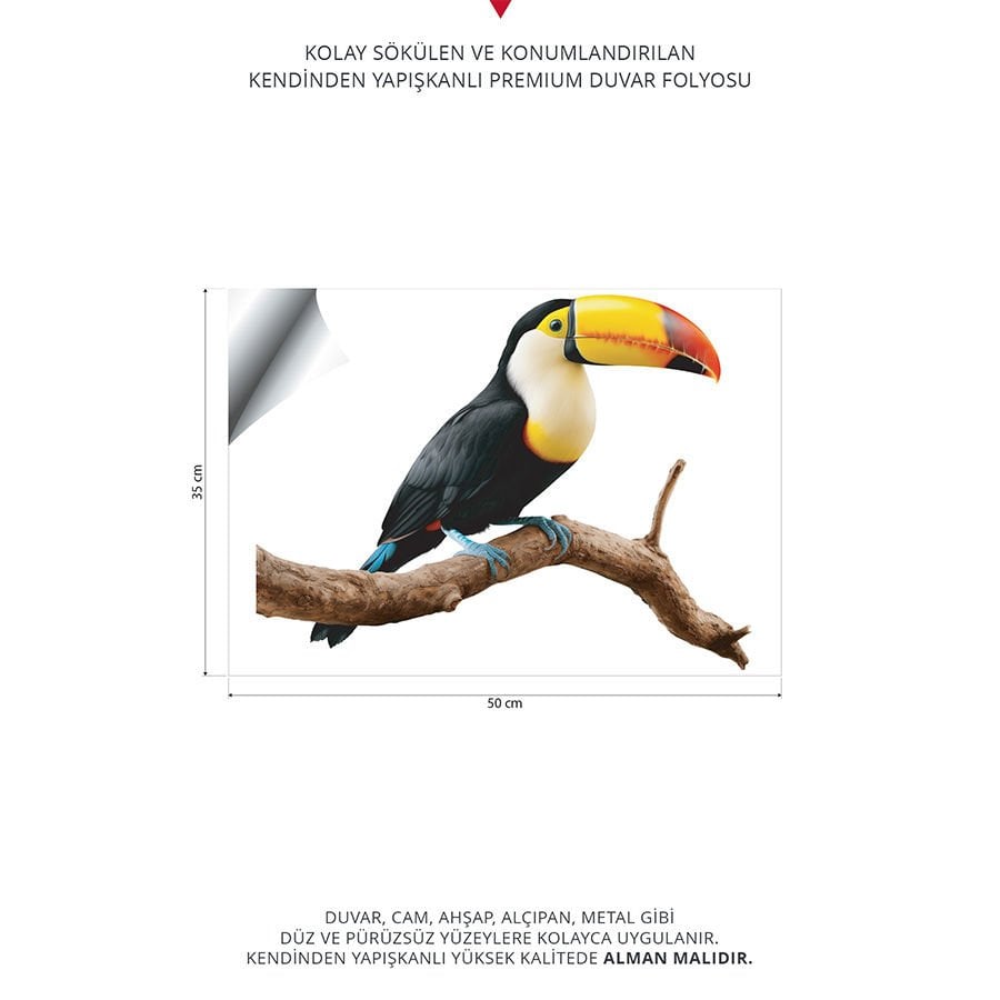 Sevimli Papağan Duvar Stickeri | 35x50cm