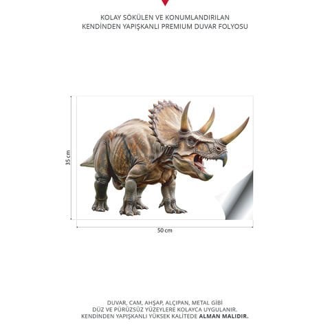 Dinazor Duvar Stickeri | 35x50cm