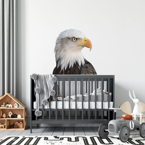 Kartal Duvar Stickeri | 50x50cm