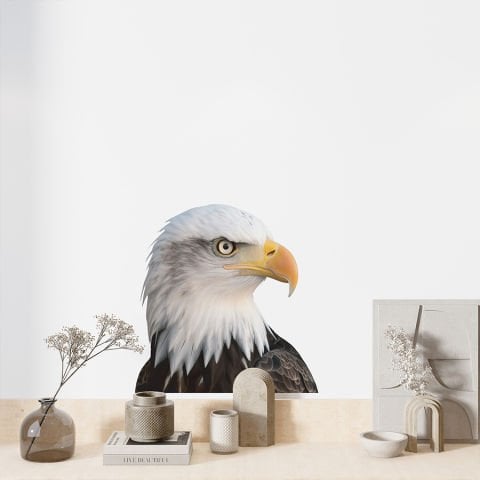 Kartal Duvar Stickeri | 50x50cm