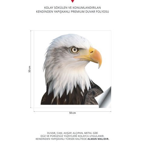 Kartal Duvar Stickeri | 50x50cm