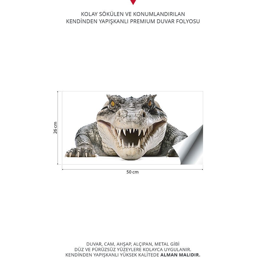 Timsah Duvar Stickeri | 25x50cm