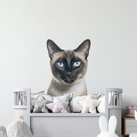 Kedi Duvar Stickeri, Çocuk Odası Duvar Stickeri | | 40x50cm