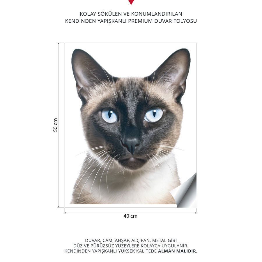 Kedi Duvar Stickeri, Çocuk Odası Duvar Stickeri | | 40x50cm