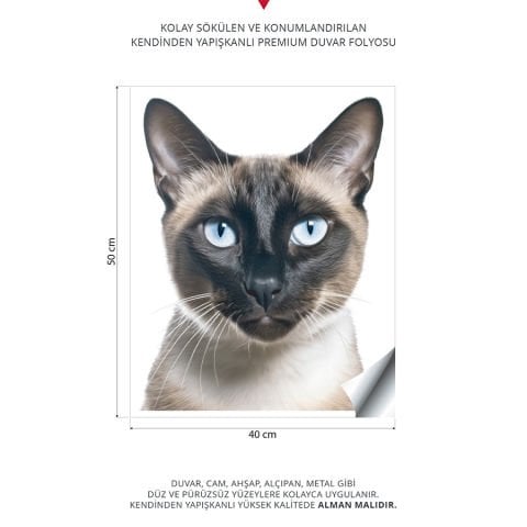 Kedi Duvar Stickeri, Çocuk Odası Duvar Stickeri | | 40x50cm