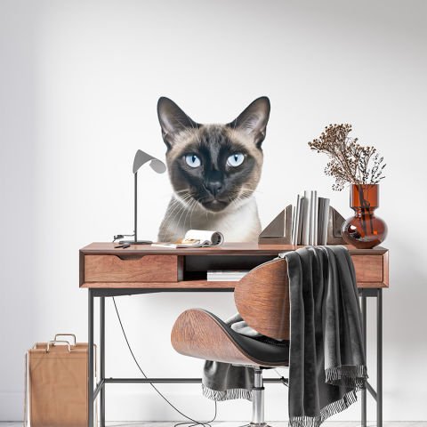 Kedi Duvar Stickeri, Çocuk Odası Duvar Stickeri | | 40x50cm