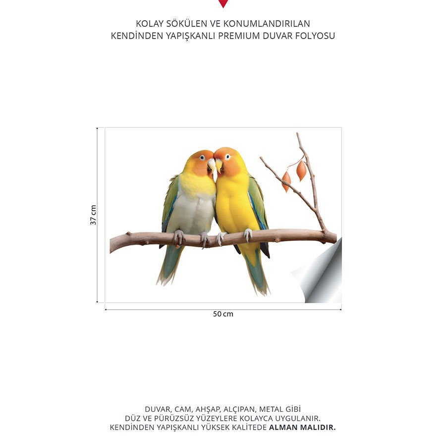 Muhabbet Kuşları Duvar Stickeri | 37x50cm