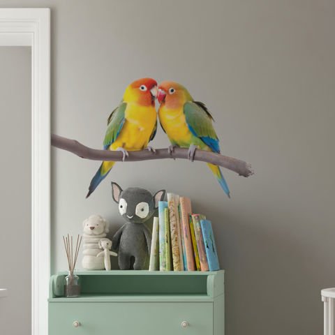 Muhabbet Kuşları Duvar Stickeri | 30x50cm