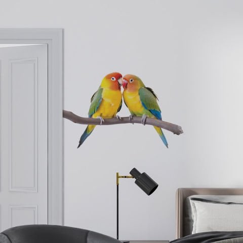 Muhabbet Kuşları Duvar Stickeri | 30x50cm