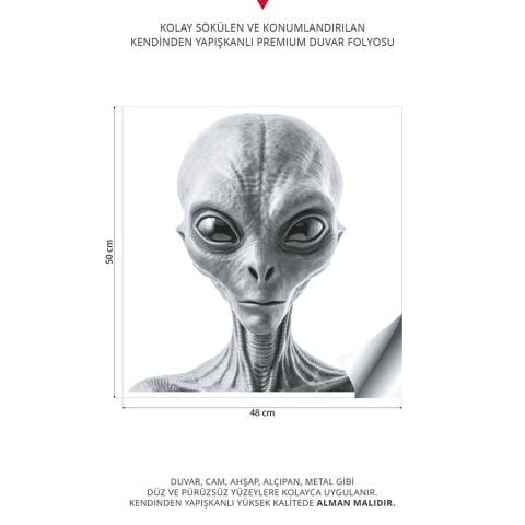 Uzaylı Alien Duvar Stickeri | 50x50cm