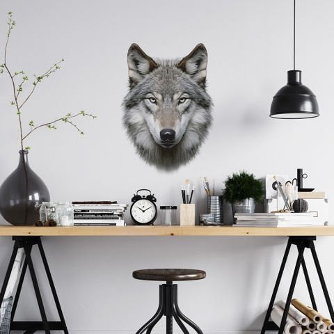 Kurt Duvar Stickeri, Duvar Dekorasyonu | 35x50cm