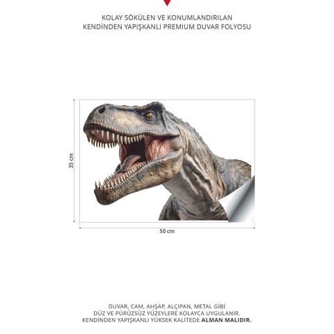 T.Rex Duvar Stickeri, Dinazor Duvar Çıkartmaları | 35x50cm