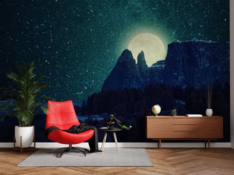 Dolunay ve Yıldızlı Gece Duvar Kağıdı
