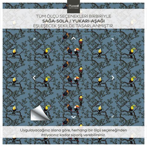 Egzotik Kuş ve Tropikal Orman Kendinden Yapışkanlı Duvar Kağıdı, Tukan Kuşu Duvar Kağıdı