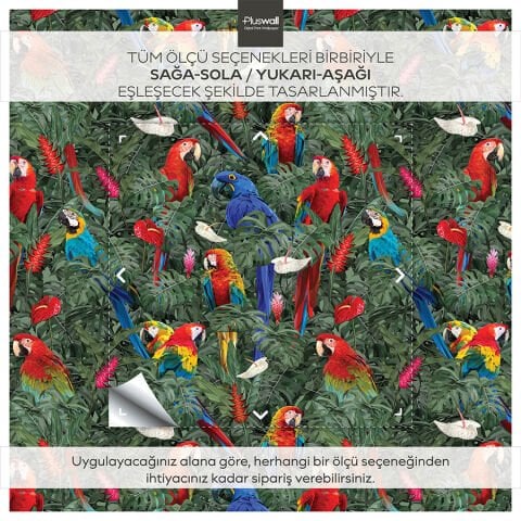 Amazon Yağmur Ormanı Kuşları Kendinden Yapışkanlı Duvar Kağıdı, Kuş Desenli Duvar Kağıdı