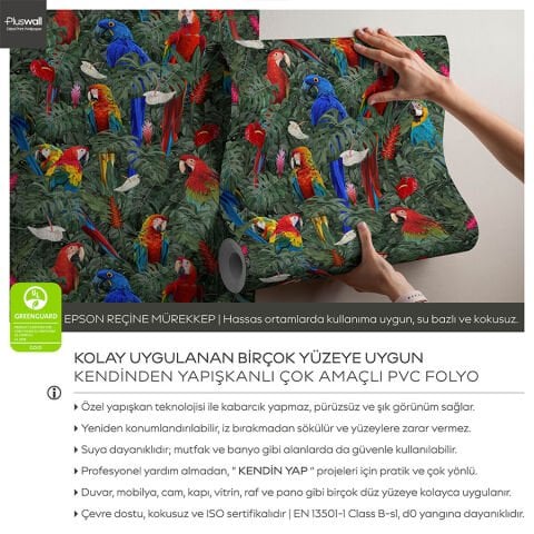 Amazon Yağmur Ormanı Kuşları Kendinden Yapışkanlı Duvar Kağıdı, Kuş Desenli Duvar Kağıdı