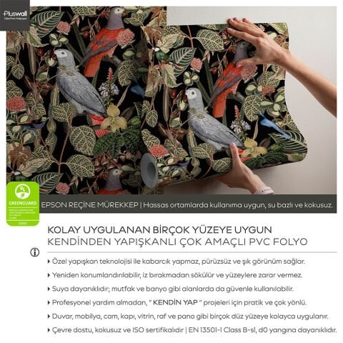 Egzotik Papağan Desenli Kendinden Yapışkanlı Duvar Kağıdı, Tropikal Orman Duvar Kağıdı