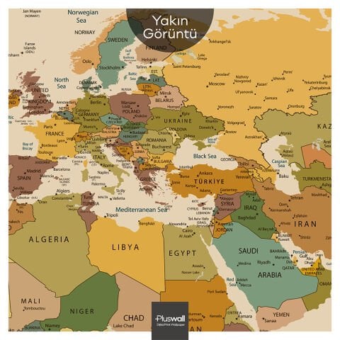 Detaylı Dünya Haritası, Kendinden Yapışkanlı Kalın Kanvas, 6 Renk Seçeneği