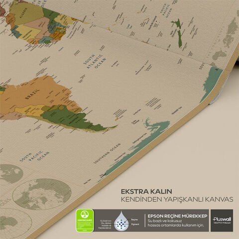 Detaylı Dünya Haritası, Kendinden Yapışkanlı Kalın Kanvas, 6 Renk Seçeneği