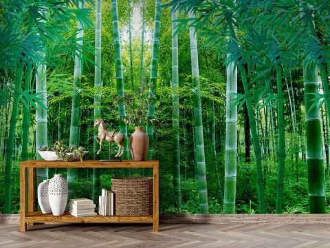 Yeşil Bambu Ormanı Duvar Kağıdı, Japon Esintili Duvar Dekorasyonu