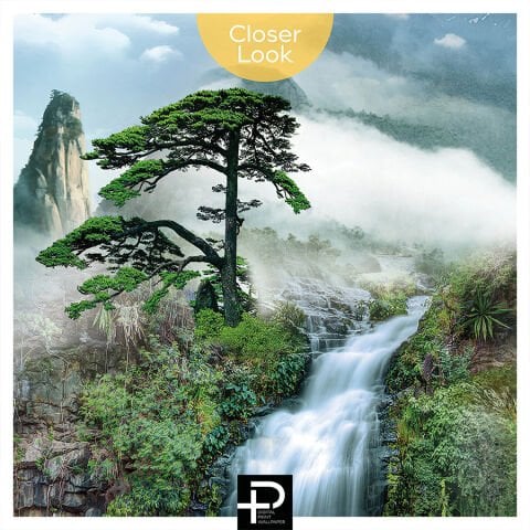 Sisli Dağ Manzarası Duvar Kağıdı, Zen Asya Sanatı Duvar Resmi